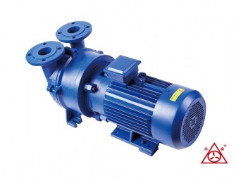 山东F2BV系列樱桃视频大全免费真空泵