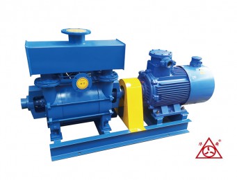 山东F2BE系列樱桃视频大全免费真空泵